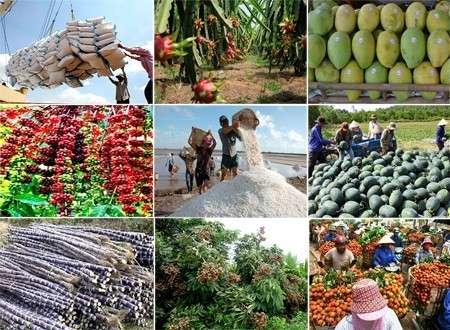 Exportmarkt für Landwirtschaftsprodukte wächst - ảnh 1